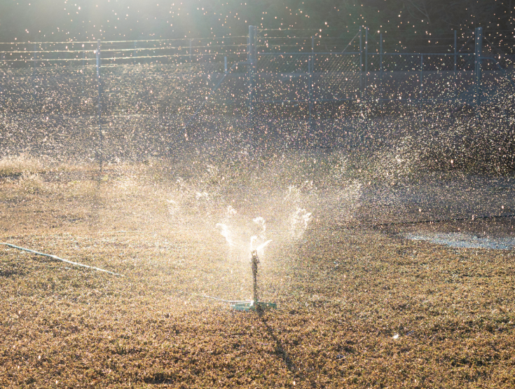 Sprinkler watering a dry lawn
