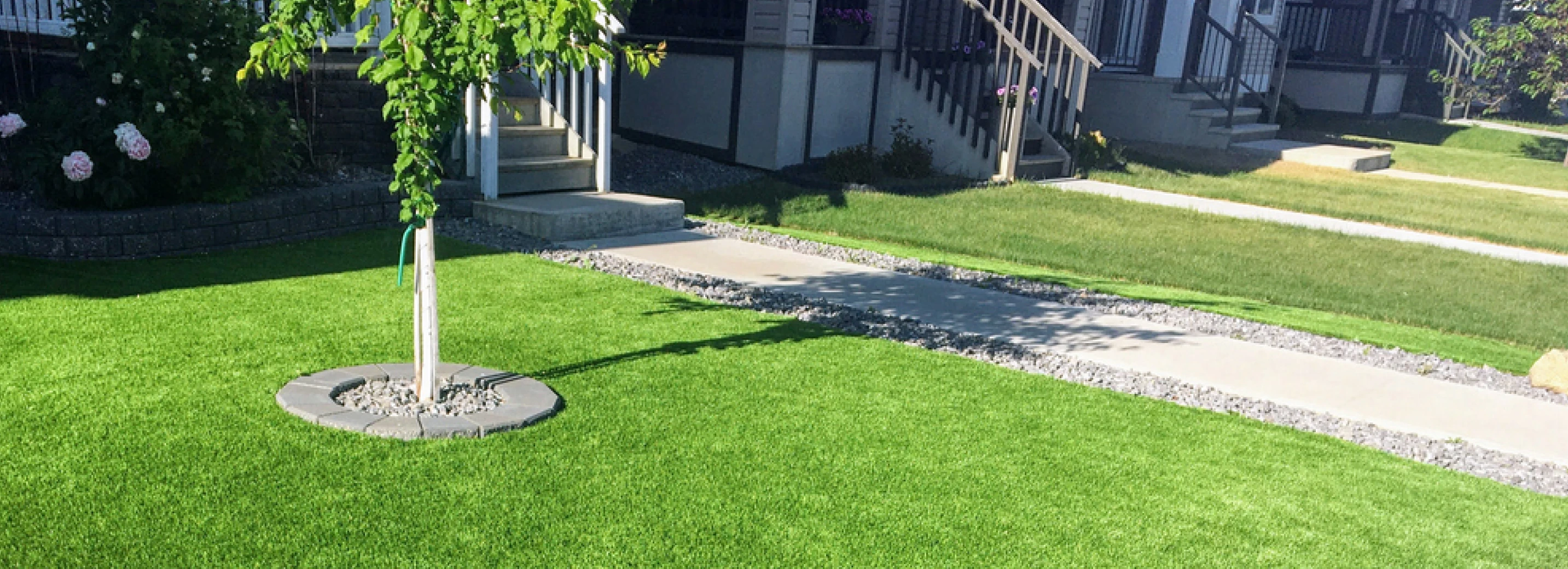 Artificial turf lawn and real grass lawn side by side