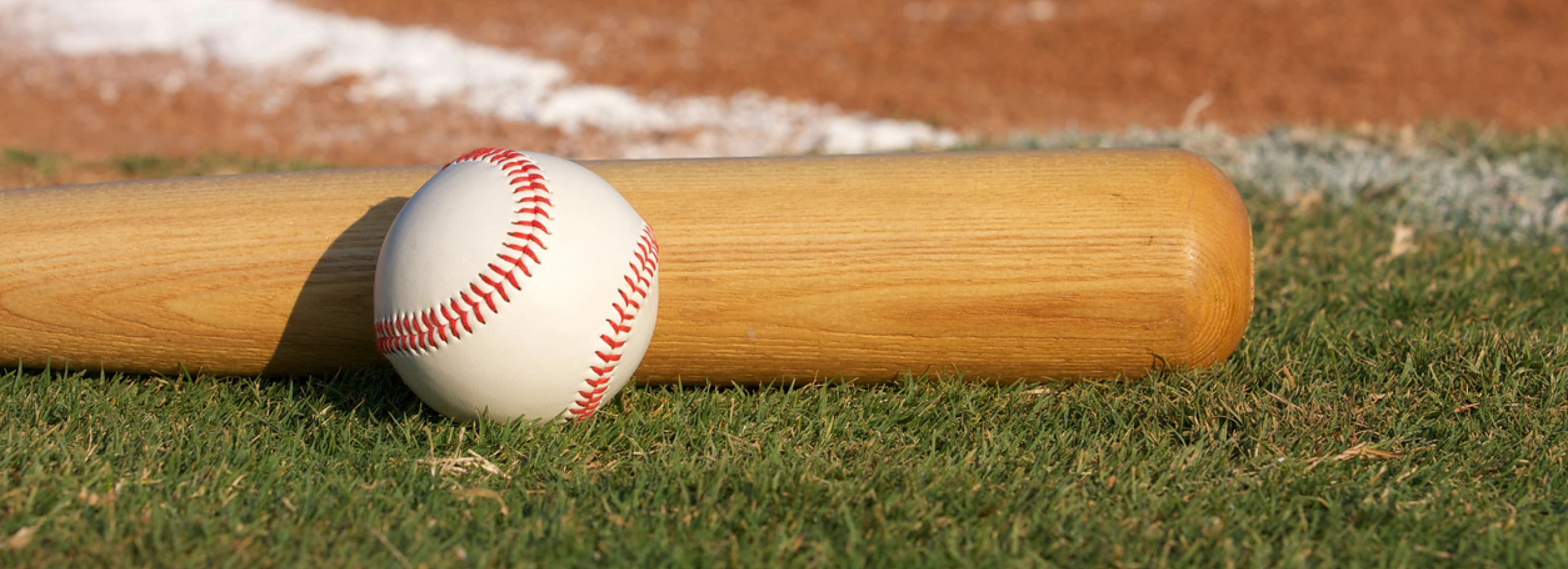 Baseball and bat on grass at a baseball field