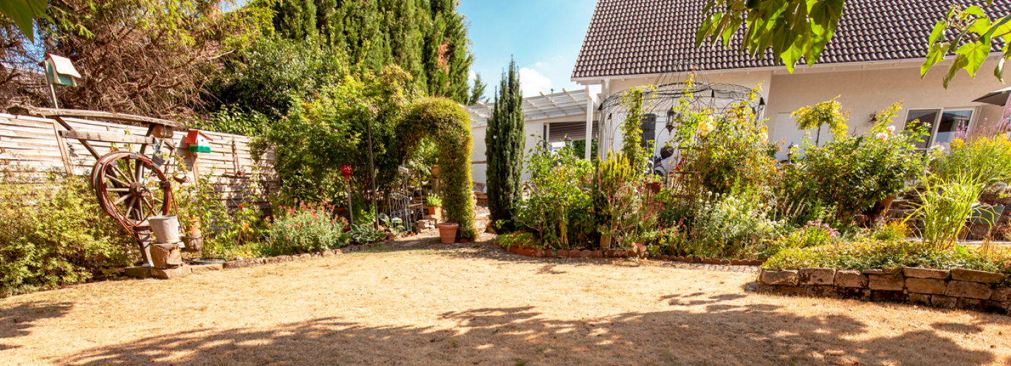 House with a very dry lawn