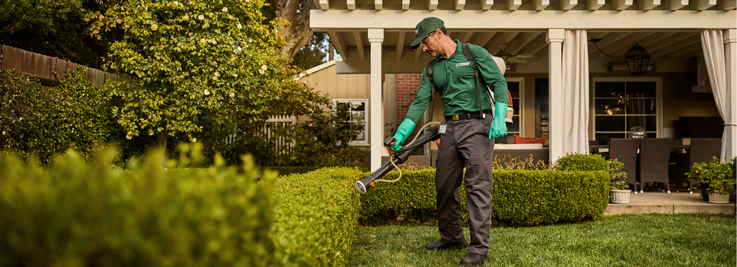 TruGreen specialist spraying mosquito control
