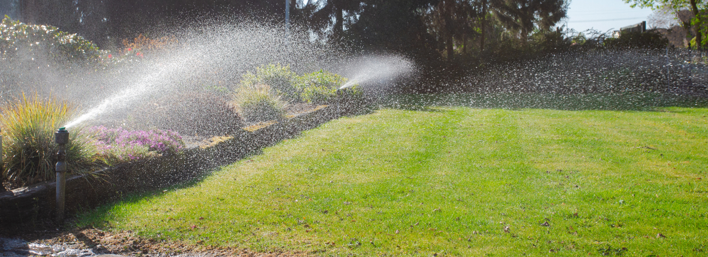 Image of a lawn being watered by a sprinkler in the spring