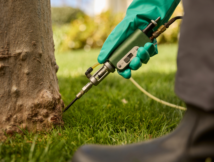 Image of TruGreen specialist spraying a lawn