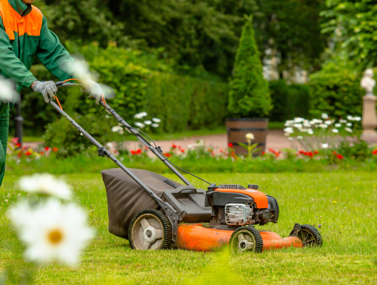 Lawnmower cutting grass on a lawn