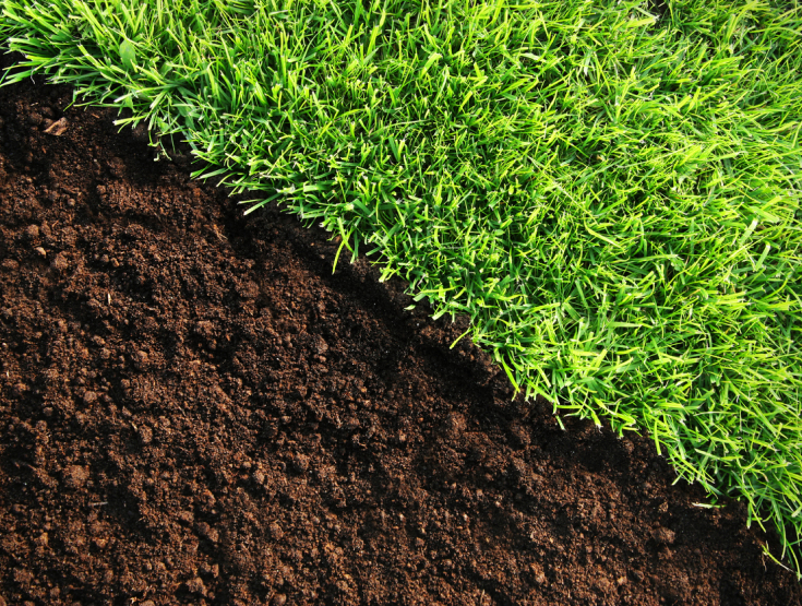 Side-by-side of healthy, lush lawn and healthy soil