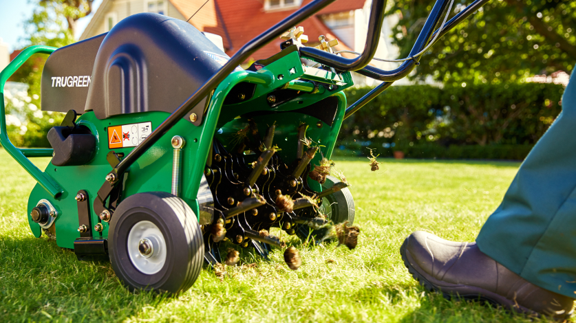 TruGreen specialist pushing a core aerator over a lawn
