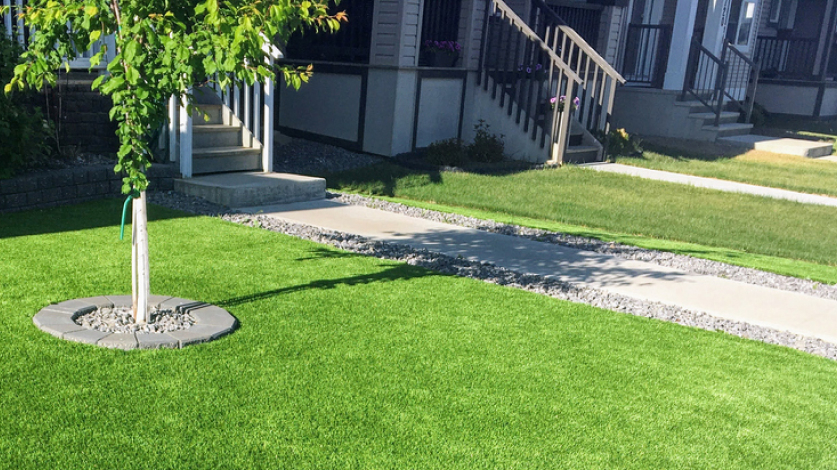 Artificial turf lawn and real grass lawn side by side