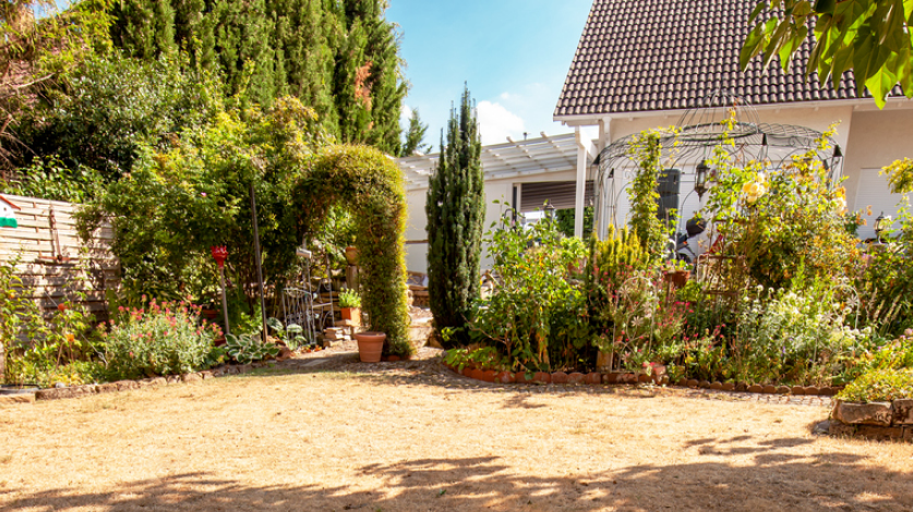 House with a very dry lawn