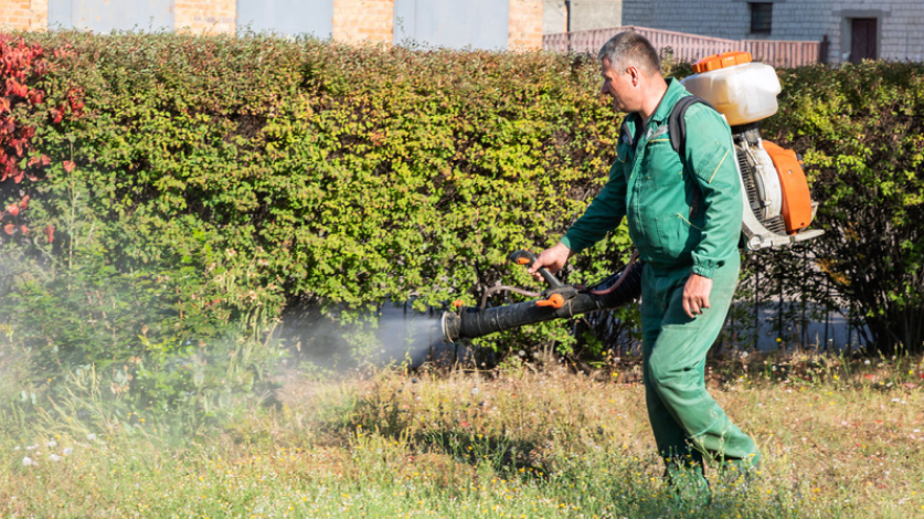 What Keeps Mosquitoes Away?