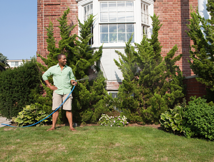 Man standing in his yard watering the lawn with a hose