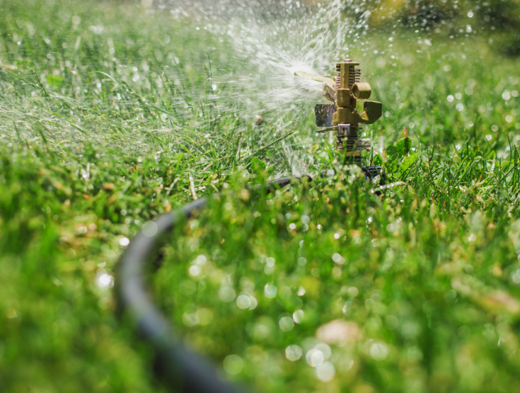 Close up of a sprinkler watering a lawn