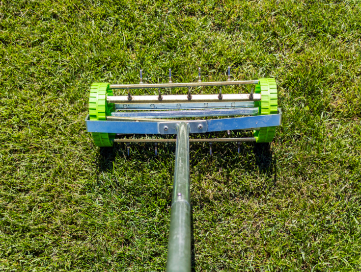 Manual rolling aerator on a lawn
