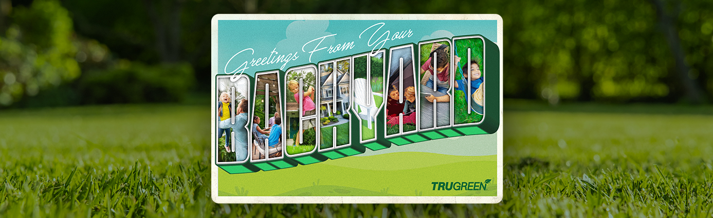 Greetings from your backyard postcard on grass