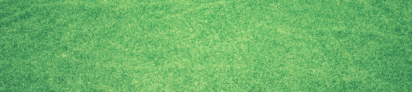 Close-up of lawn grass