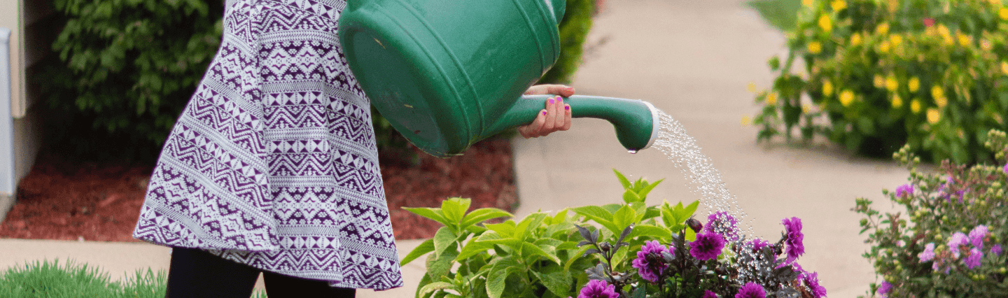 Someone watering flowers with a watering can