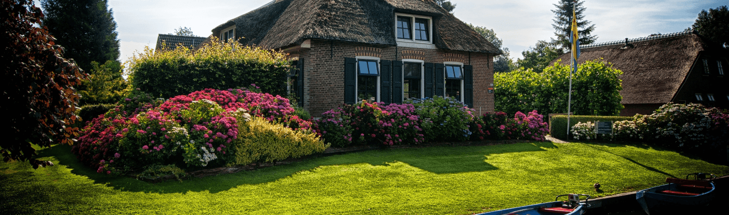 Healthy lawn in front of a house