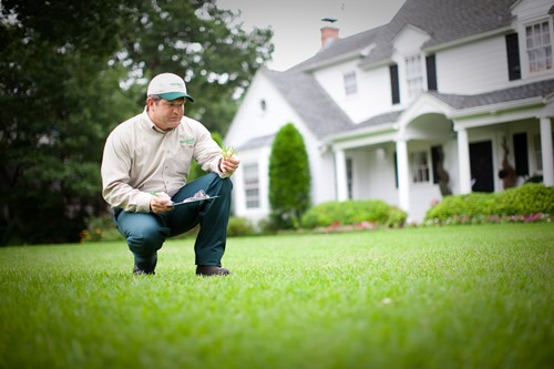 TruGreen specialist examining a lawn
