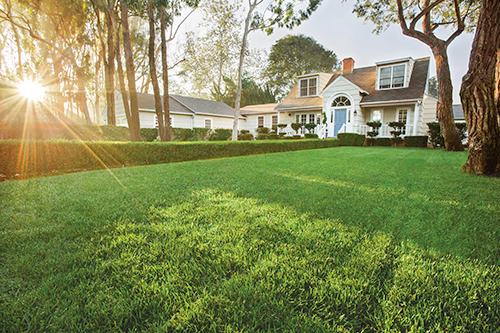 Beautiful Midwestern Lawn