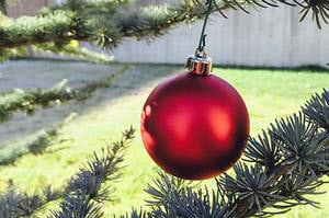 Red Christmas ornament on an outdoor tree