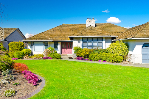 Front yard landscaping