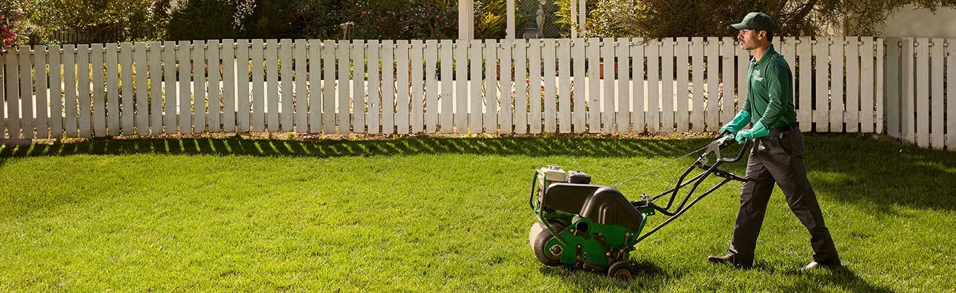 How Often Should You Aerate Your Lawn? Image
