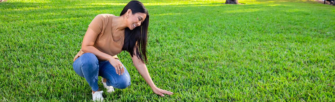 Why Soil Health Matters for a Healthy Lawn Image