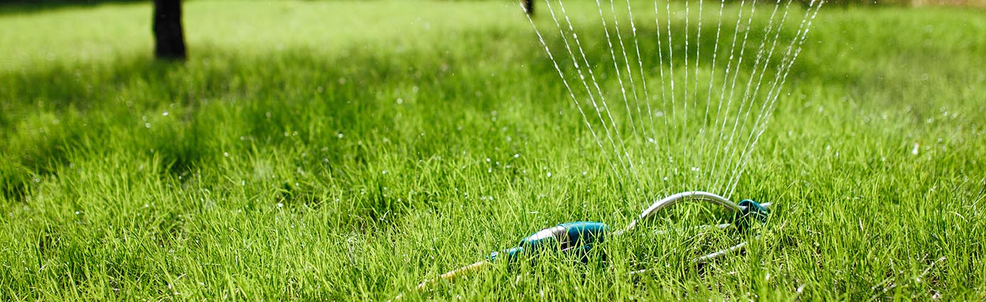 Sprinkler watering healthy lawn