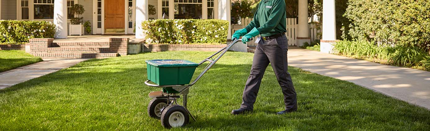 TruGreen specialist overseeding a lawn
