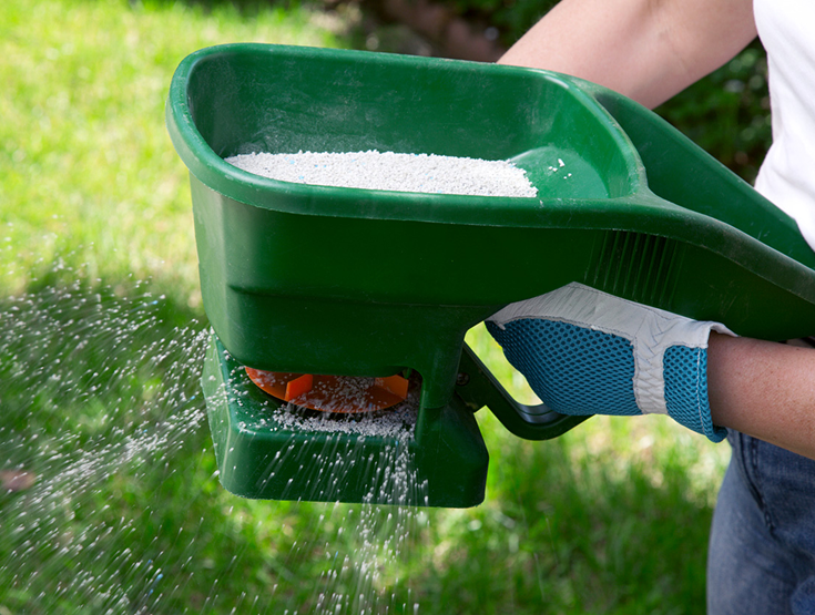 Someone using a hand spreader to apply fertilizer to a lawn