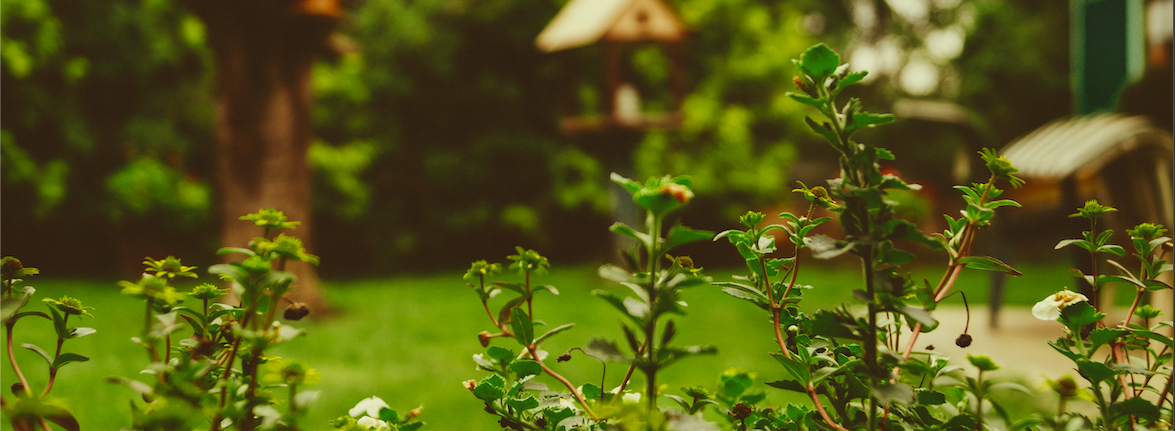 Flowering landscaping