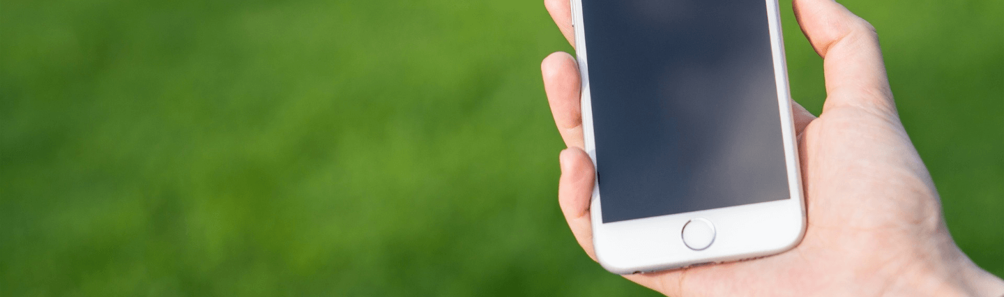 Someone holding a cell phone