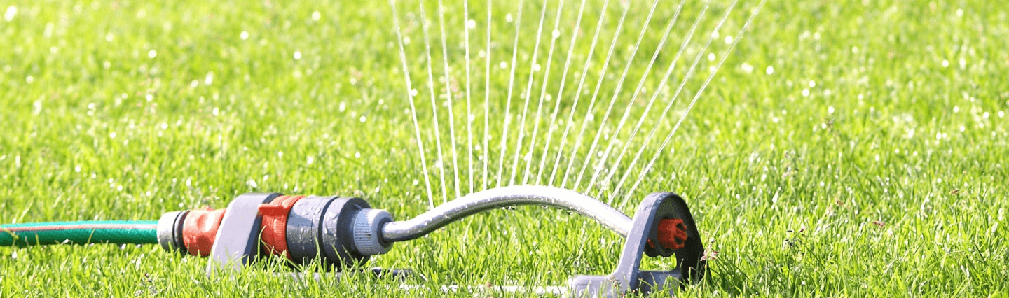 Close-up of a sprinkler watering a lawn