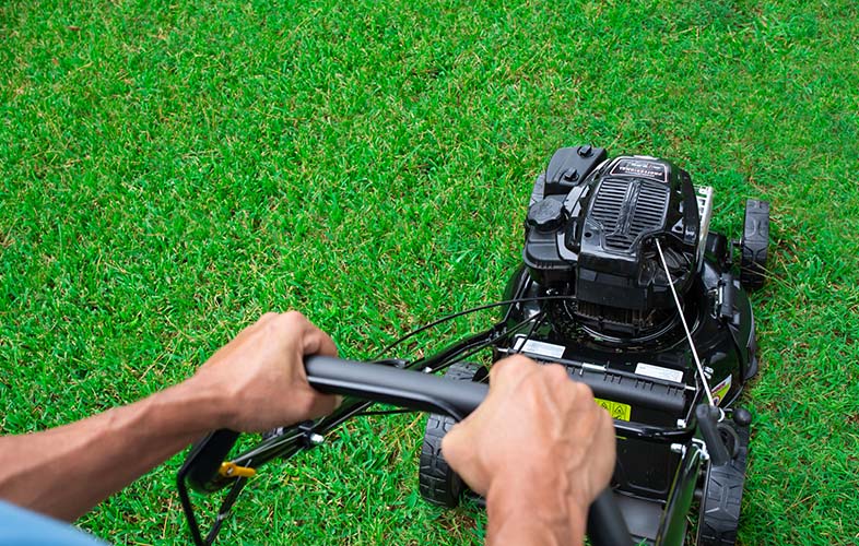 Homeowner mowing healthy lawn