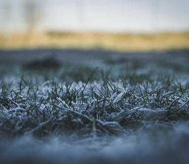 Winterizing Your Lawn: Tips to Protect Your Yard This Winter